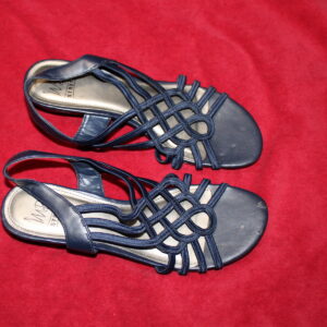 My Strappy Blue MPO Size 9M Flats Fully Loaded With My Foot Scent